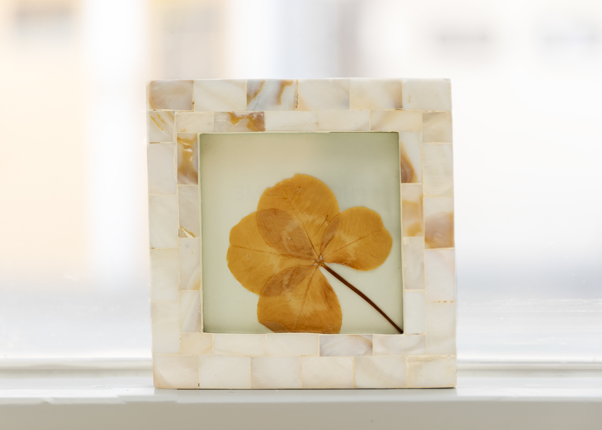 Een beige fotolijstje op de vensterbank met daarin een gedroogd klavertje vier